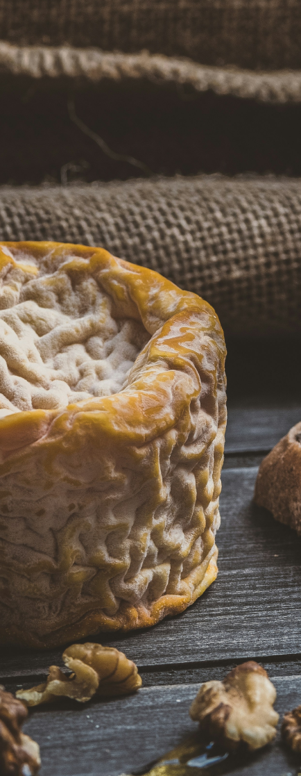 Queso artesanal